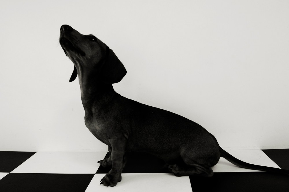 Zep- 032 Kristie lee photgrapher B&W