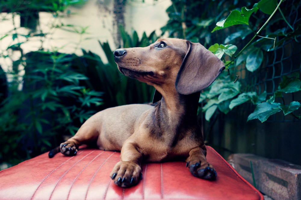 Zep- 060 Kristie lee Photographer