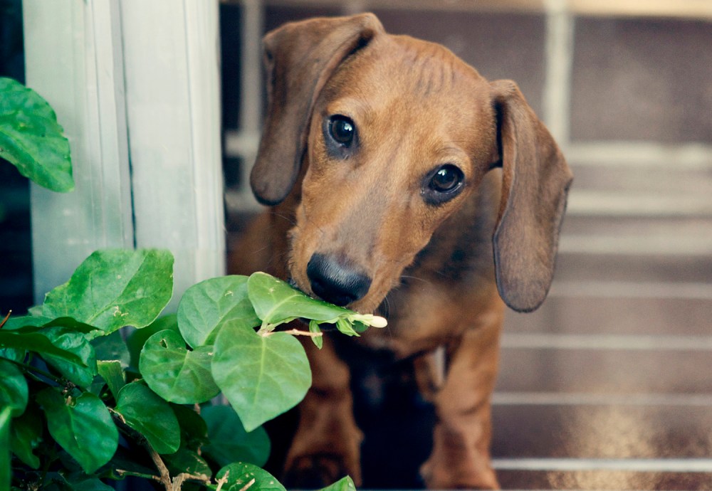 Zep- 122 Kristie lee Photographer