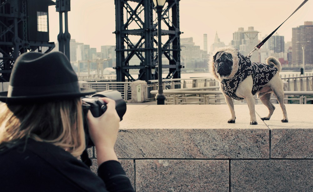 Kristie lee photographer BTS