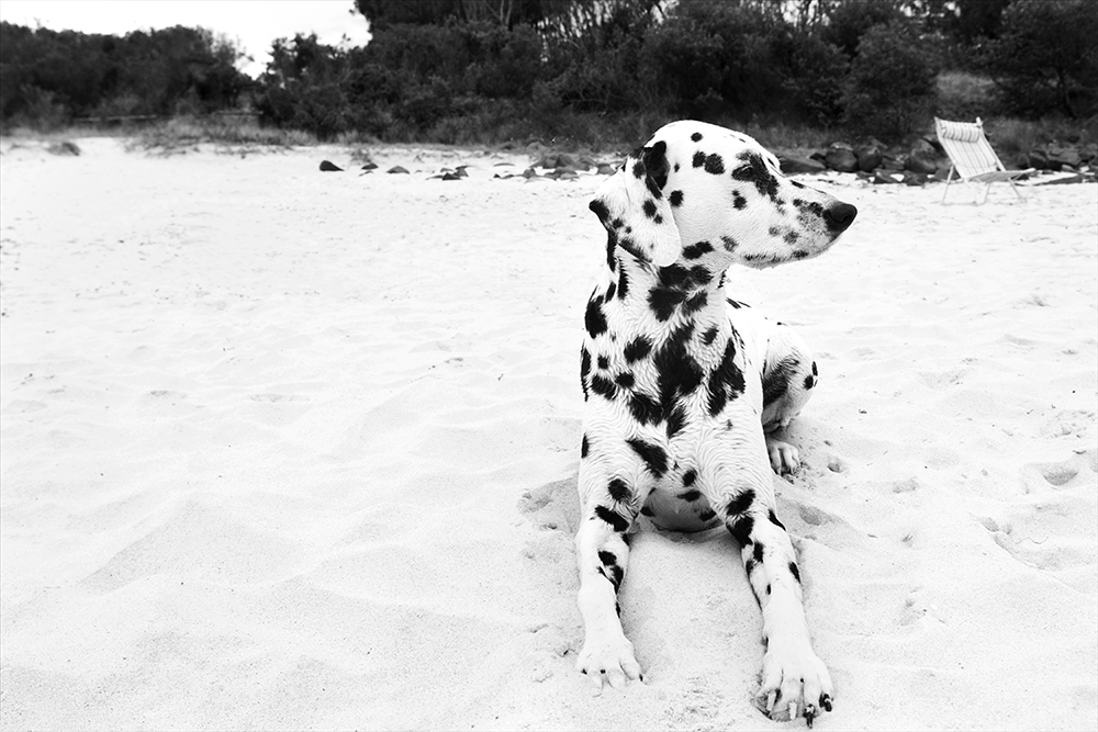 New- 055Kristieleephotographer B&W