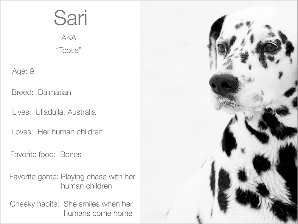 Sari profile  Kristie Lee Photographer