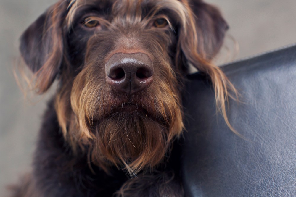 sun- 045 Kristie lee Photographer BTS