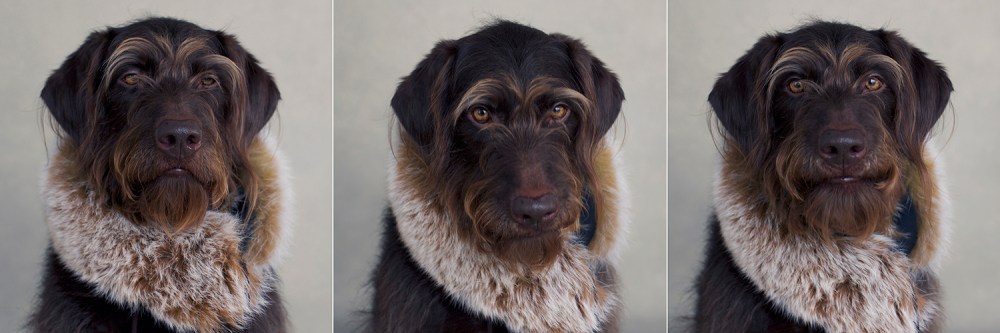 Sunny 3 Kristie lee Photographer BTS