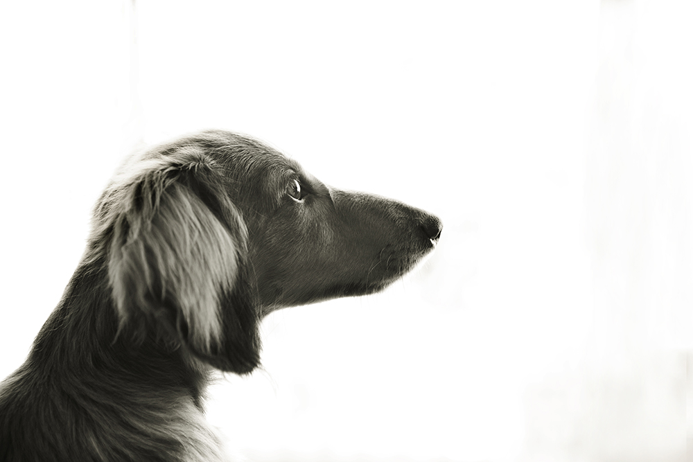 Ted- 060 B&W van kristie lee photographer