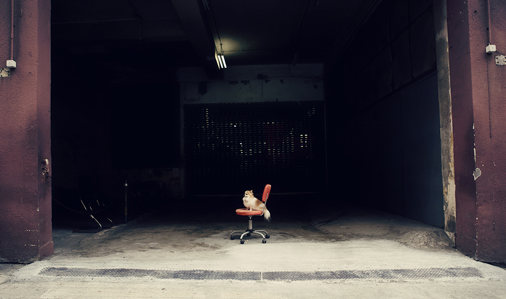 Cot- 106 kristieleephotographer cosmo