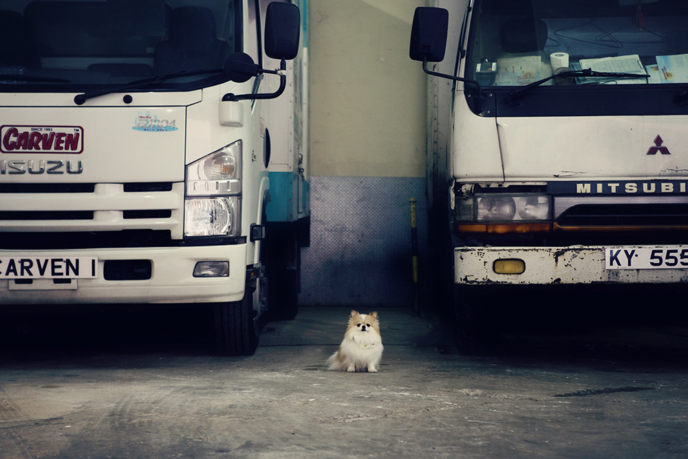 Cot- 124 kristieleephotographer cosmo