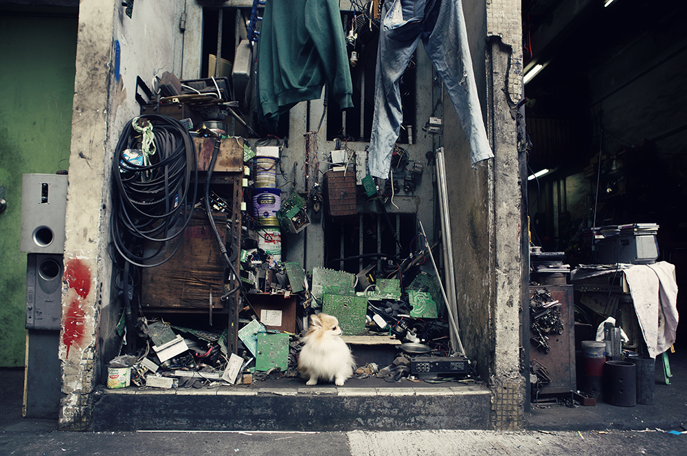 Cot- 171 kristieleephotographer cosmo