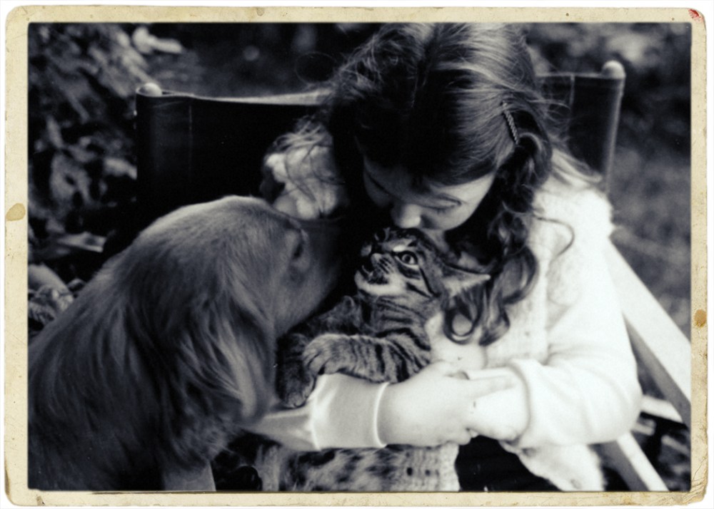 Kristie lee & gemma tiger copy