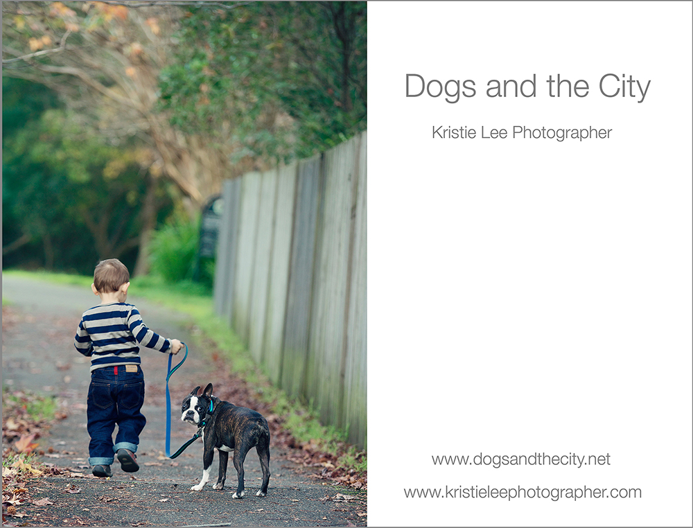 dogs and the city kristie lee photographer gussy