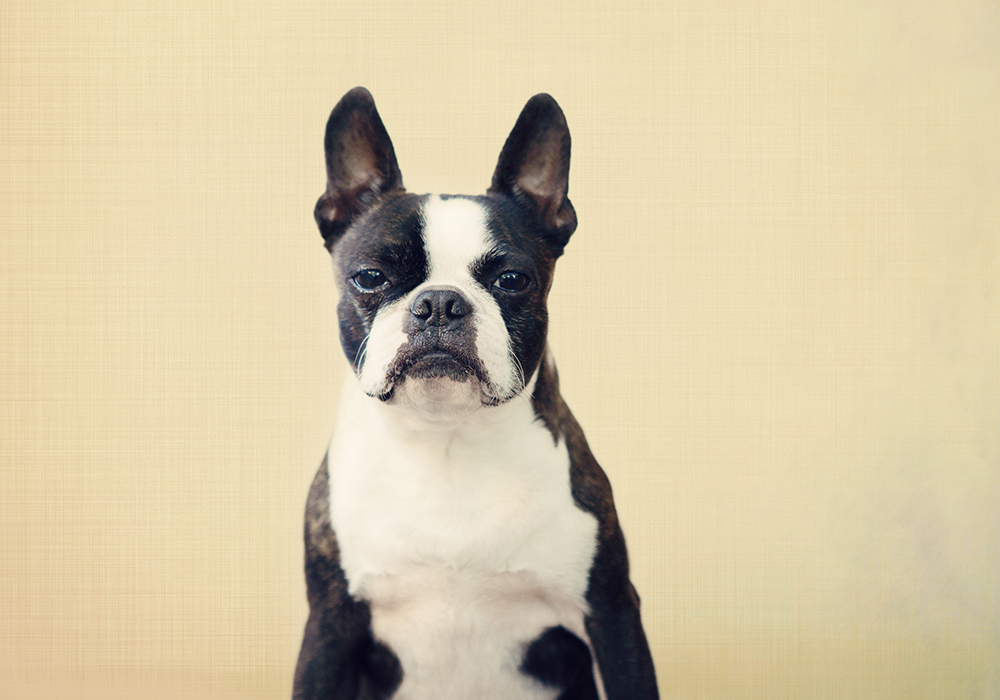 Lee- 124 Kristie lee photographer pash