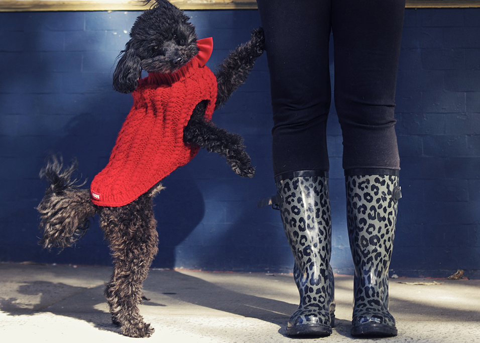 Dogue- 095 Kristie lee photographer copy