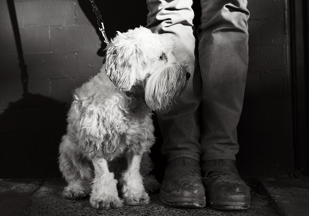 Kristieleephotographer