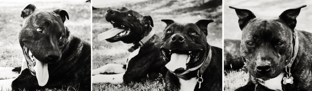 Mason & Bonnie kristielee photographer