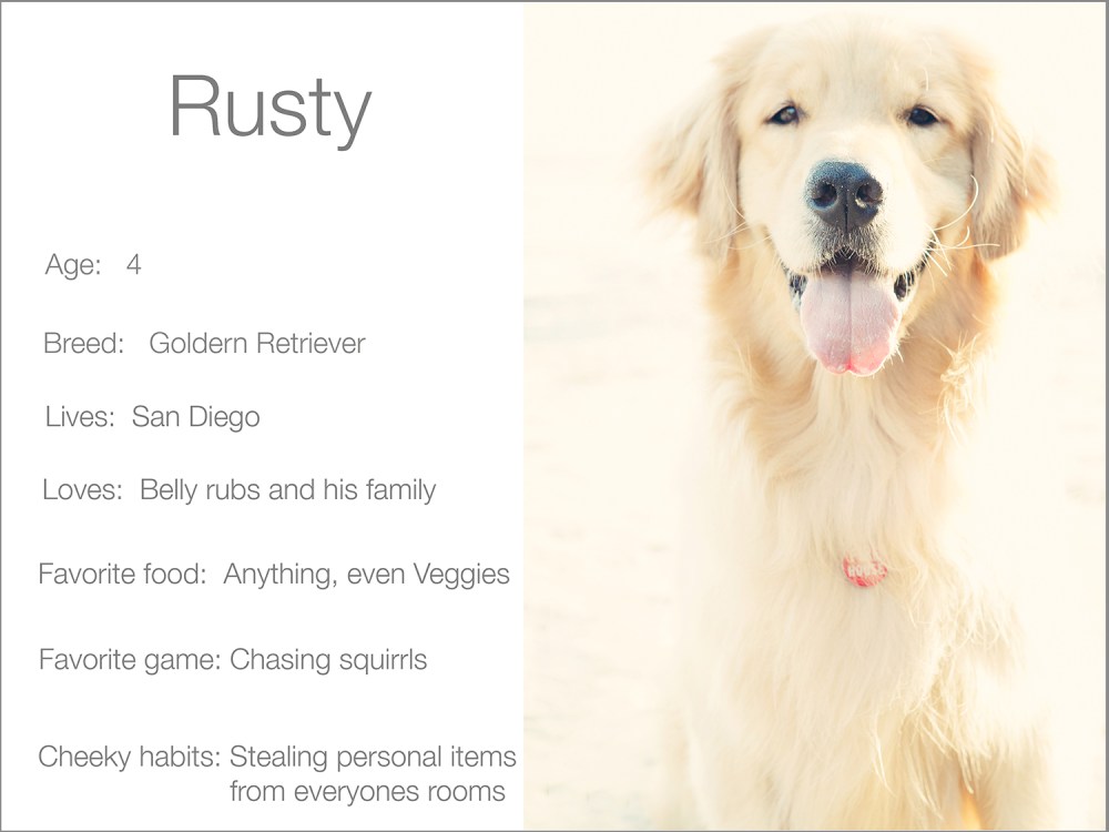 Rusty profile Kristie Lee Photographer