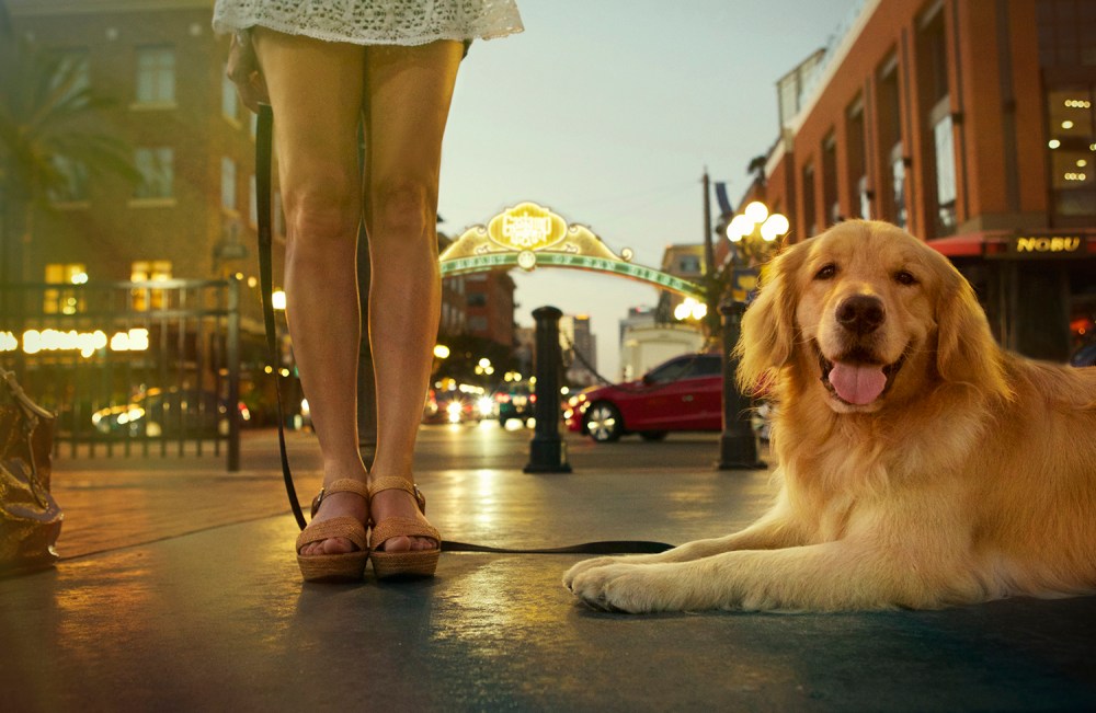 Rusty SD Kristieleephotographer crop