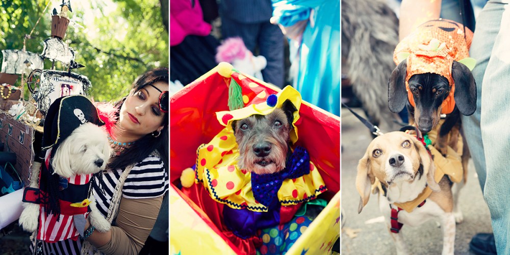 D Kristieleephotographer HDP 1.1