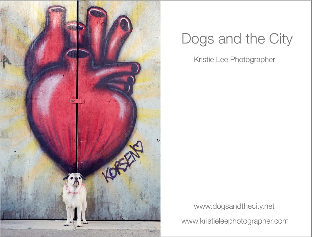 dogs and the city kristie lee photographer