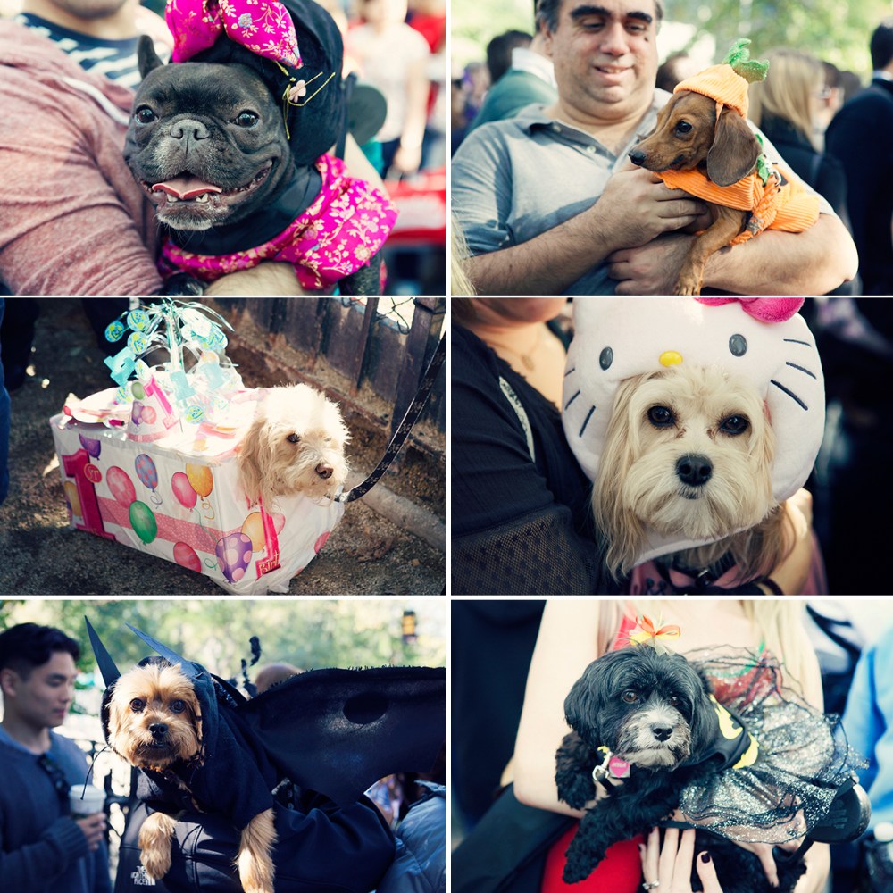 F Kristieleephotographer HDP 1