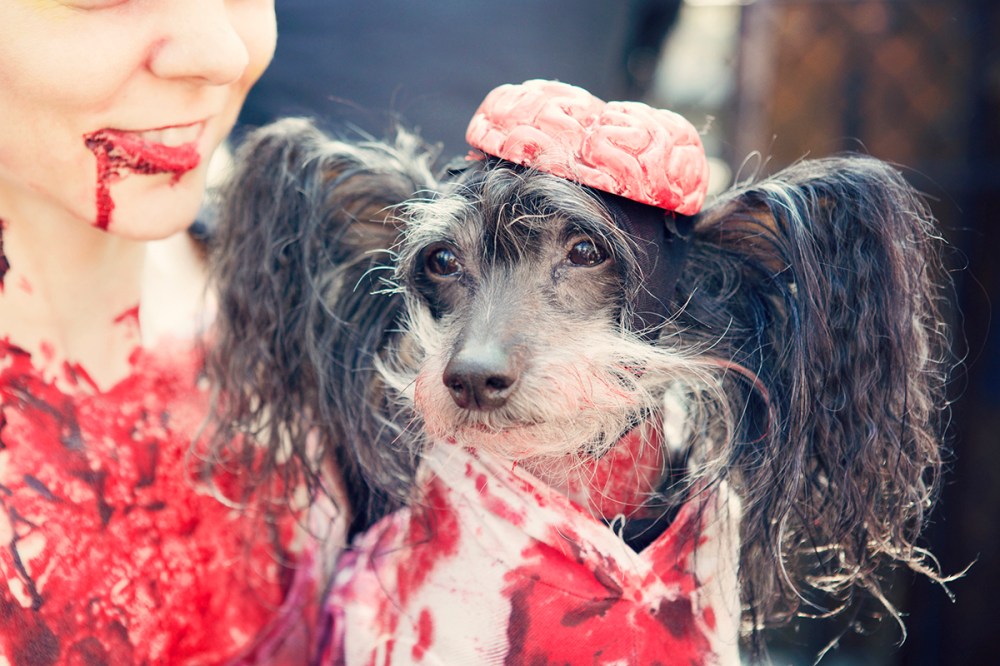 G Kristieleephotographer-HDP-2014- 288