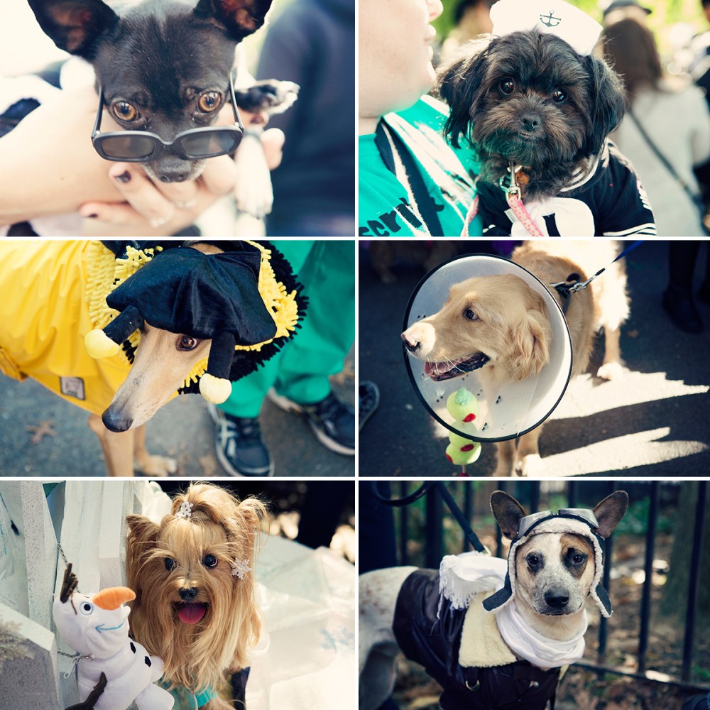 I Kristieleephotographer HDP 3