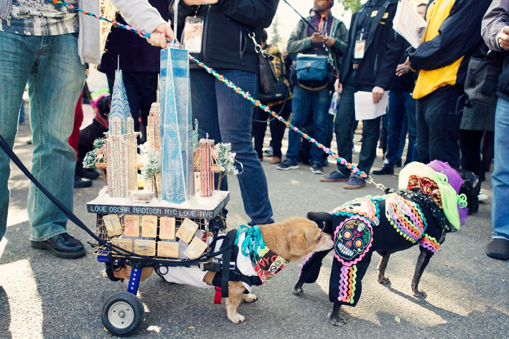 J Kristieleephotographer-HDP-2014- 009