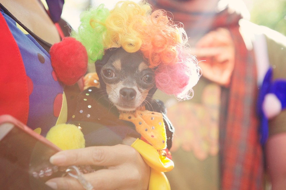 K Kristieleephotographer-HDP-2014- 226