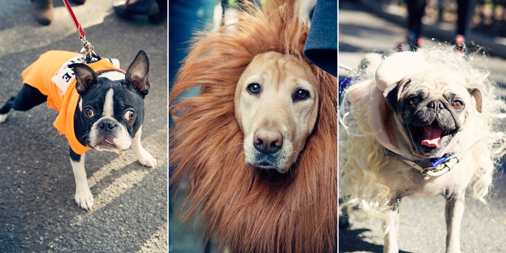 Kristieleephotographer HDP 1.3