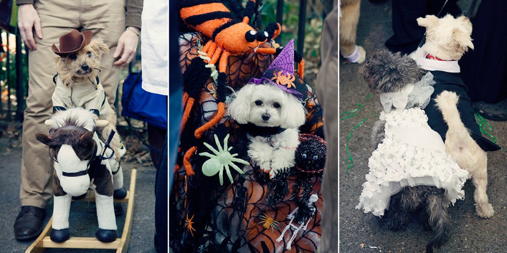 Kristieleephotographer HDP 1.5