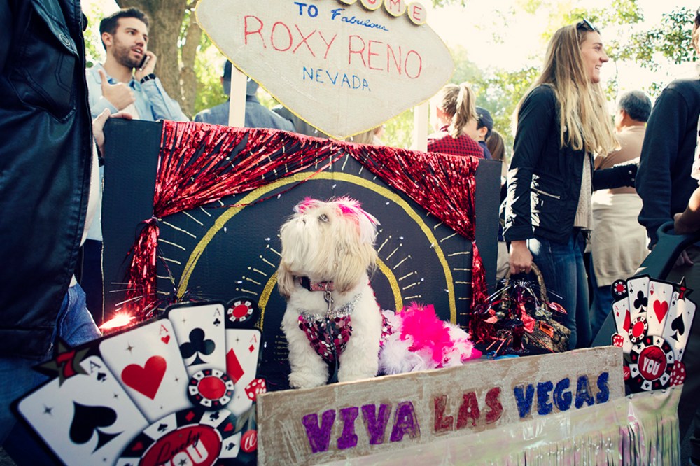 Kristieleephotographer-HDP-2014- 187