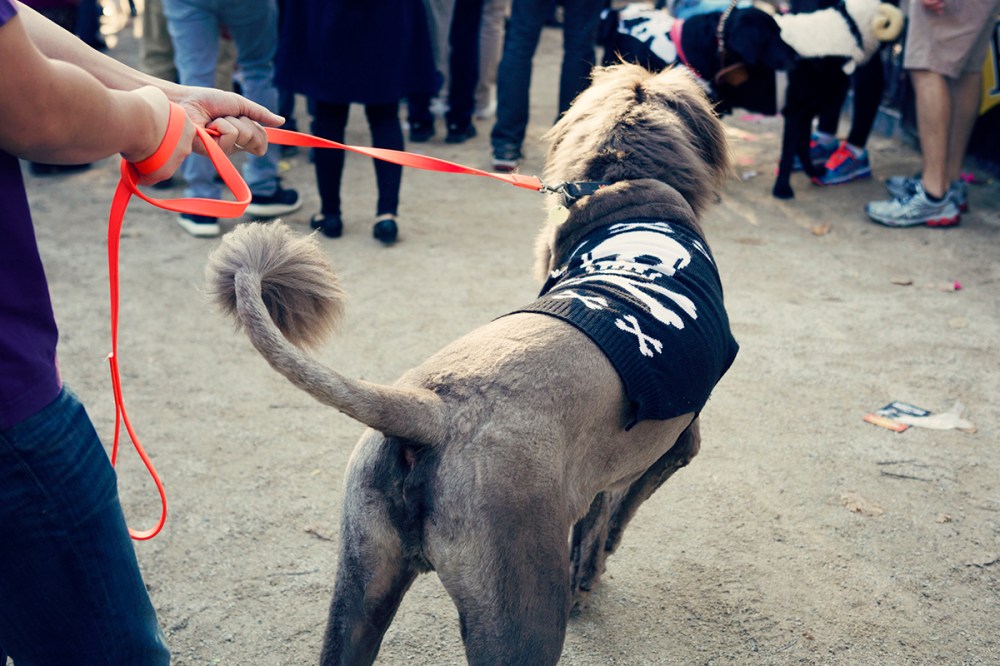 Kristieleephotographer-HDP-2014- 372