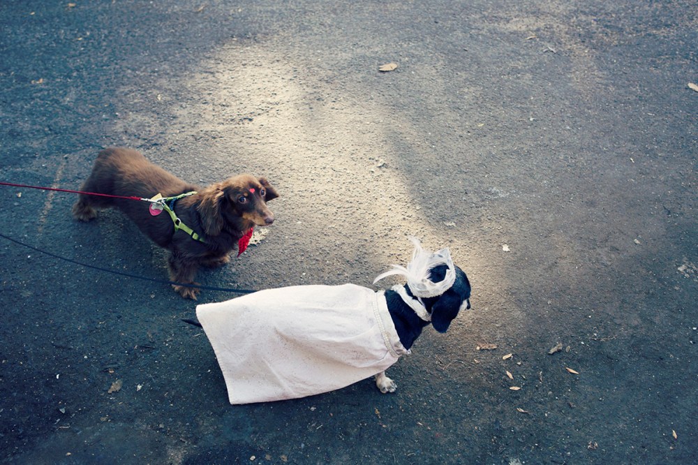 Kristieleephotographer-HDP-2014- 375