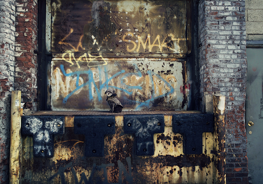 Lac- 058 Kristieleephotographer