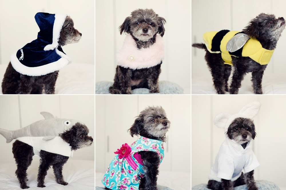 Lacey Kristie lee photographer 6.1