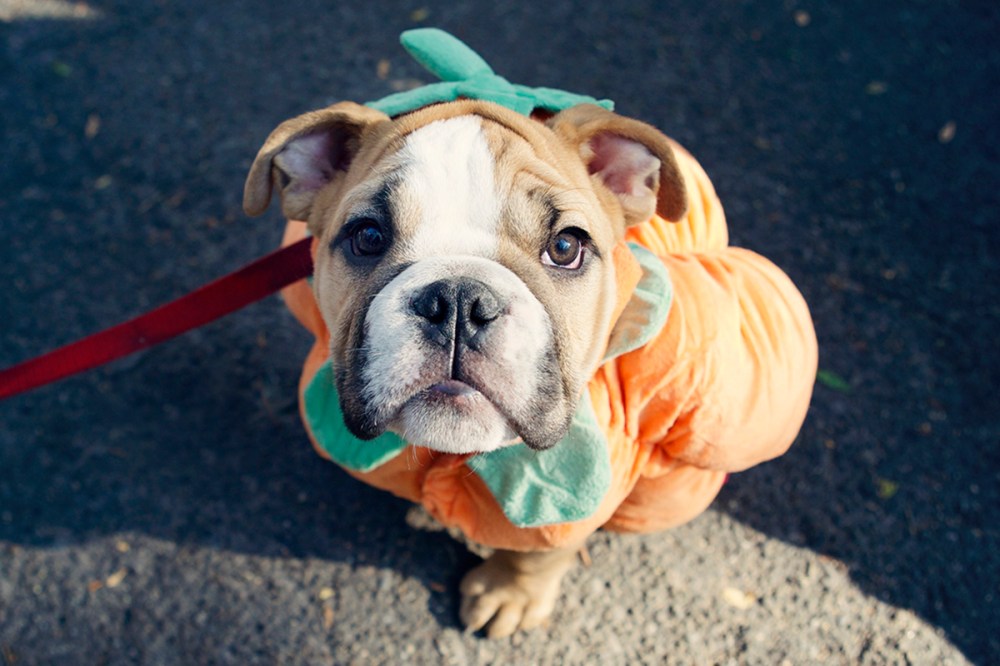 Q Kristieleephotographer-HDP-2014- 332 (1)