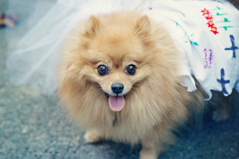 S Kristieleephotographer-HDP-2014- 102