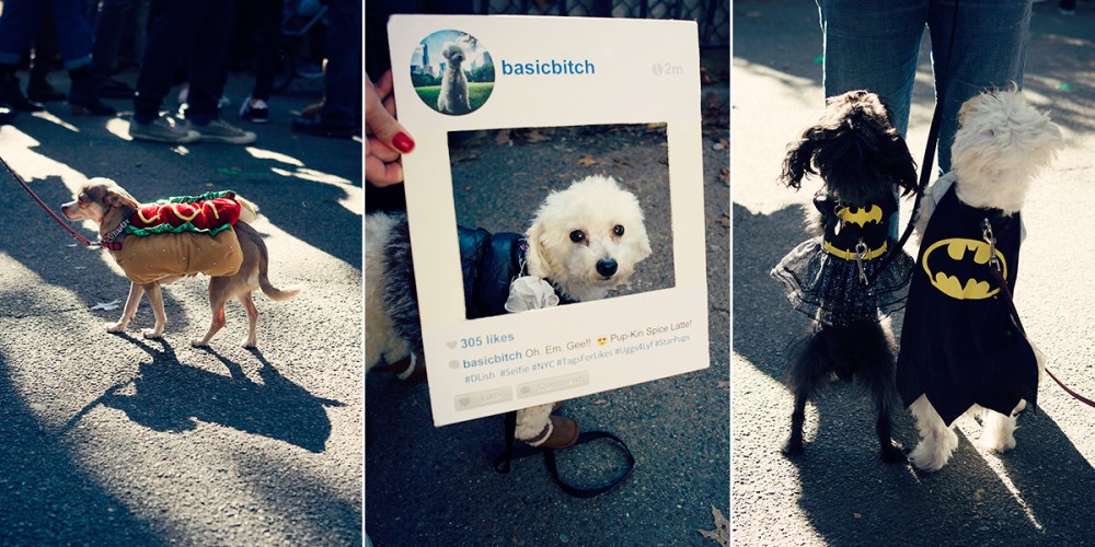 T Kristieleephotographer HDP 1.4