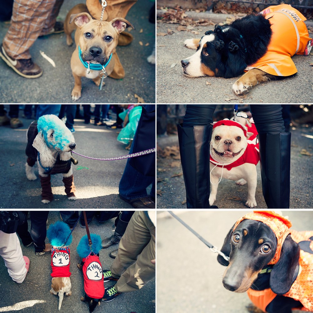 X Kristieleephotographer HDP 4