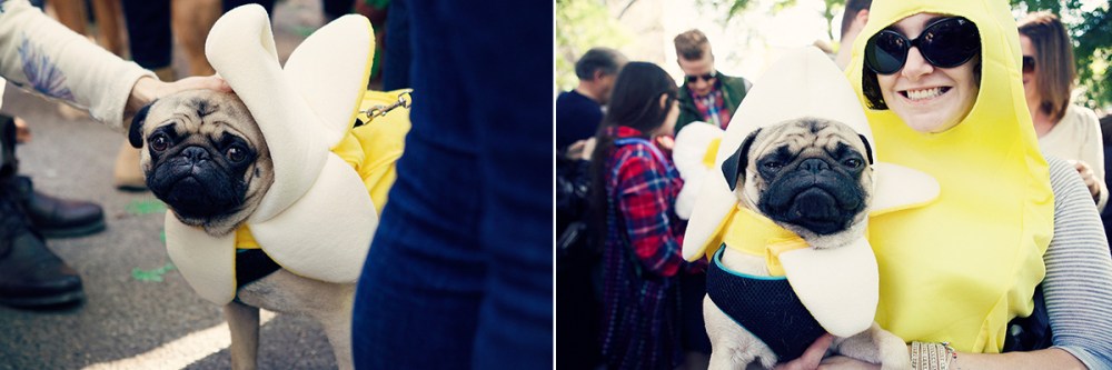 Y Kristieleephotographer 3.2