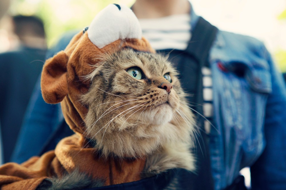 Z Kristieleephotographer-HDP-2014- 148