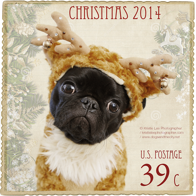 Cookie stamp Kristie lee Photographer 2