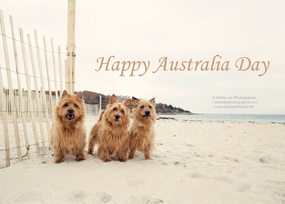 Happy Australia Day Kristieleephotgrapher