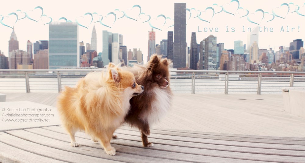 Fra & Mia- 03 Kristie-lee-photographer