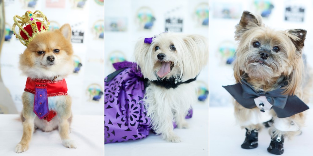 Kristie-lee-photographer 01