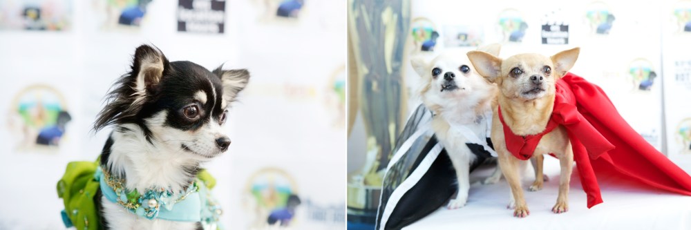 Kristie-lee-photographer 06