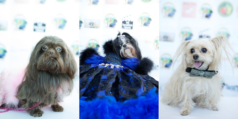 Kristie-lee-photographer 07