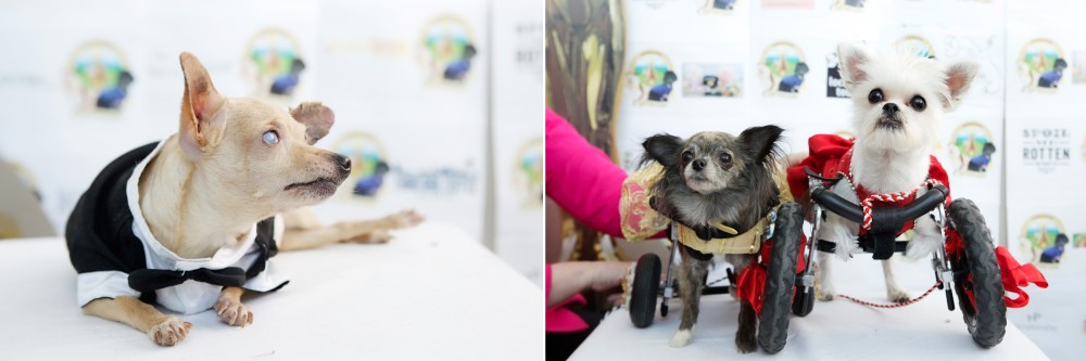 Kristie-lee-photographer 08