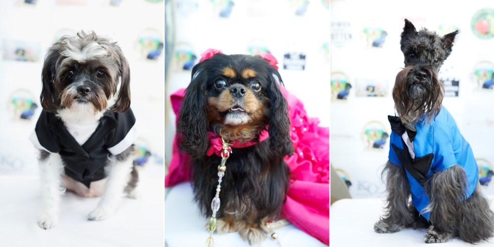 Kristie-lee-photographer 11