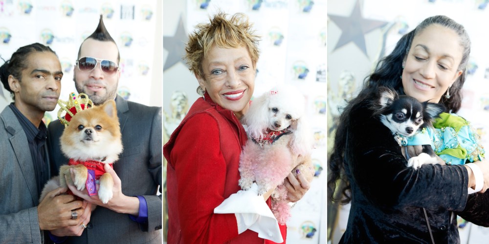 Kristie-lee-photographer 12