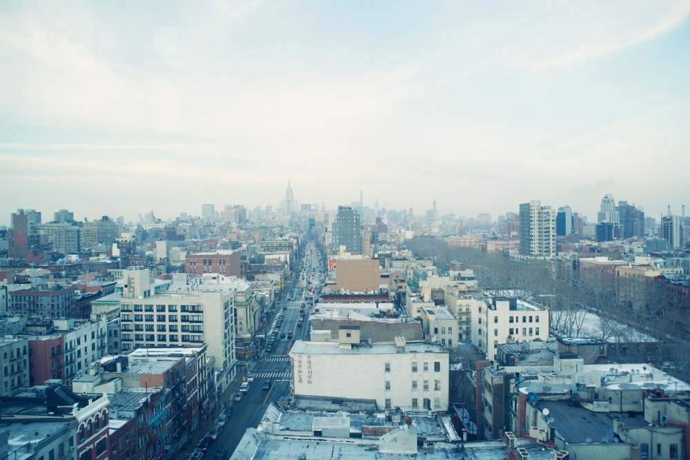 Pup-kristie-lee-photographer 163